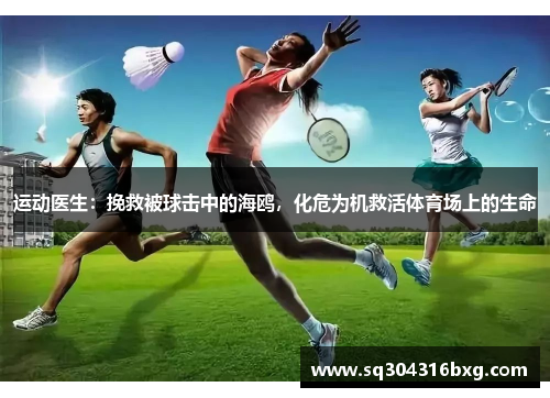 运动医生：挽救被球击中的海鸥，化危为机救活体育场上的生命